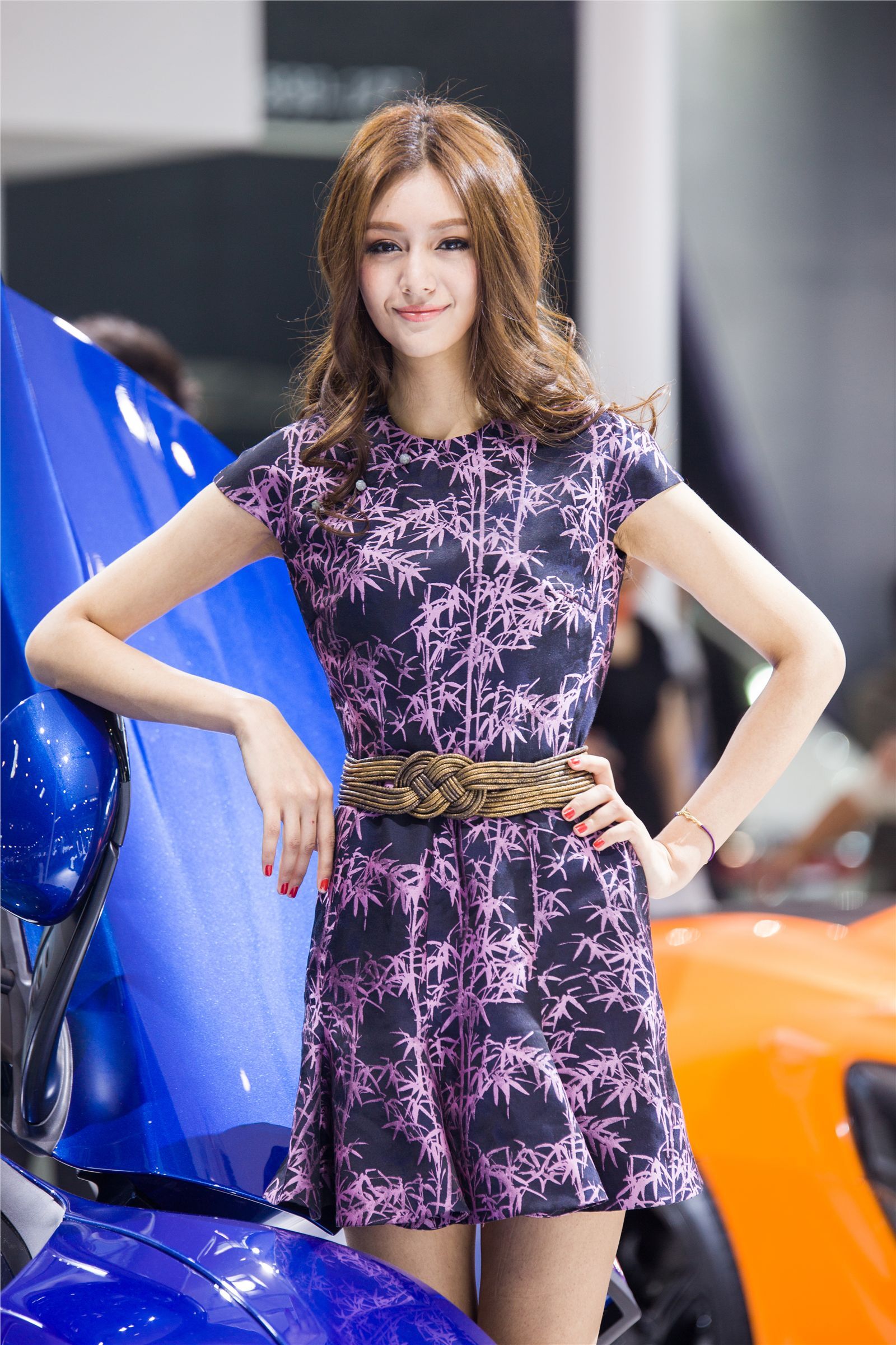 2014 Beijing Auto Show